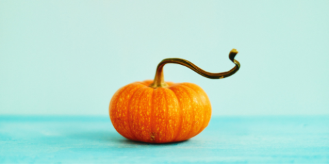 bright orange pumpkin on a teal background