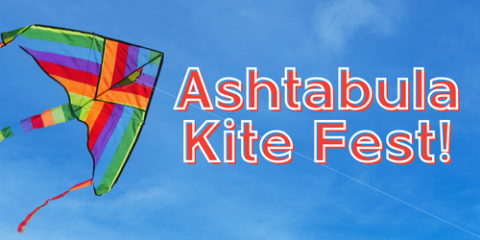 beautiful kite on a blue sky