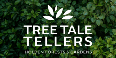 photo of leaves with the logo 'Tree Tale Tellers' overlaid