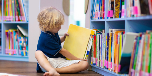 little boy reading a picturebook