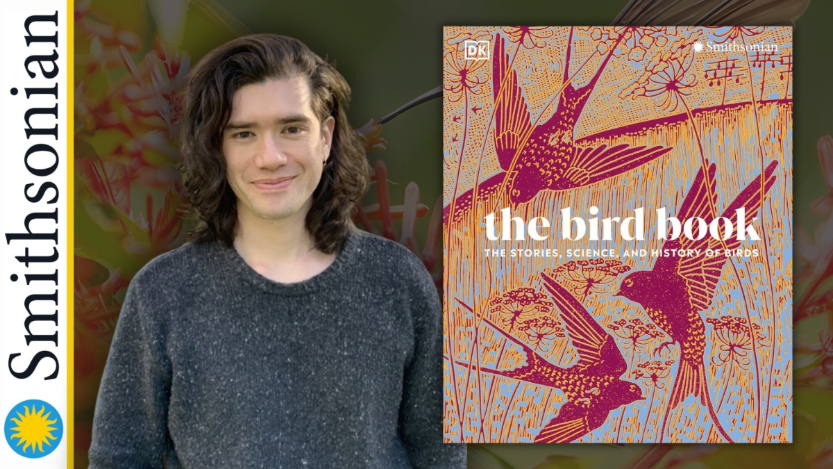 marketing image for "The Bird Book"