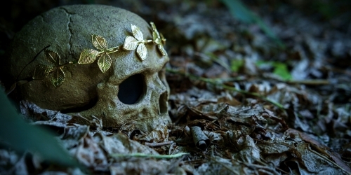 skull in the forest