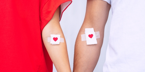 Two arms with bandages after donating blood.